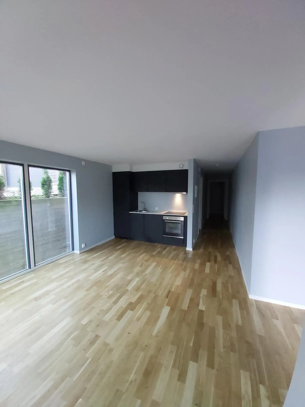 Bilde fra 2019 Stue/Kjøkken